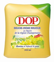 Les délices aux fruits de Dop	