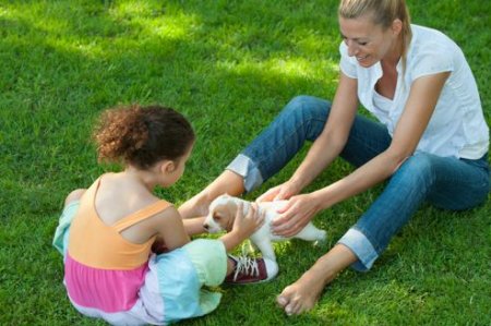 «Il faut être attentif à ce qui passionne l'enfant»