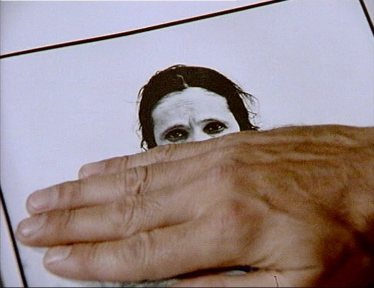 DVD :Images du monde et inscription de la guerre film de Haroun Farocki . L'image à Auschwitz