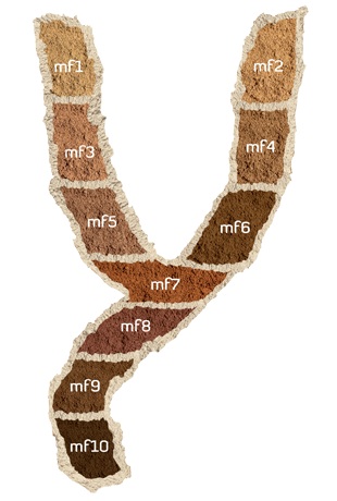  Beauté :Gaya : vous créé votre poudre minérale sur mesure pour un teint parfait.