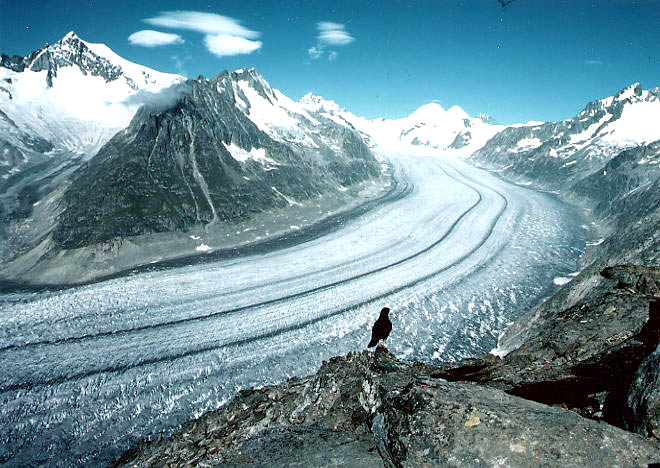 Les glaciers suisses ont perdu 12% de leur volume en 10 ans