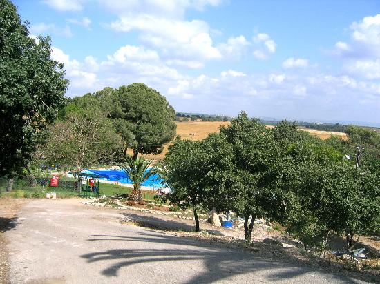 kibbutz-pool-with-view.jpg
