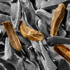 Des lames en silex fabriquées 