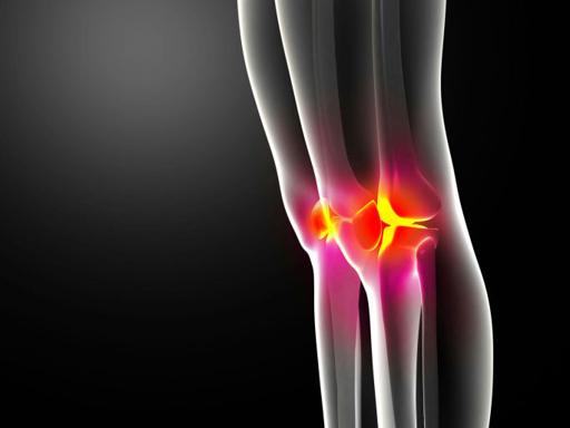 Anatomie : on a découvert un nouveau ligament du genou