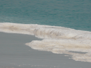 Spencer Tunick photographie une foule nue à la mer Morte