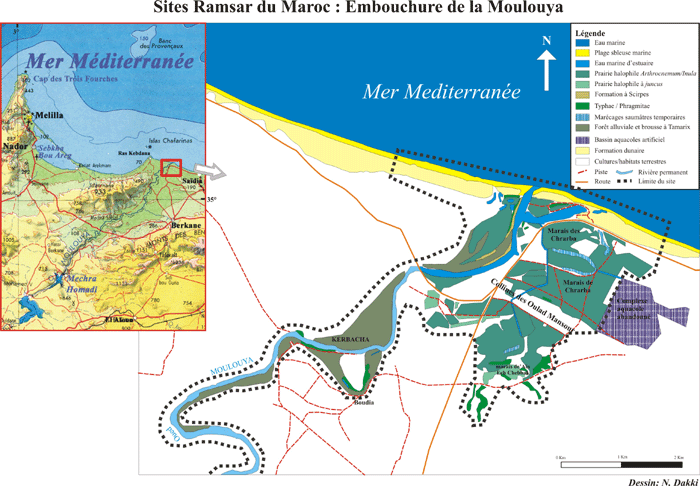 moulouya.gif