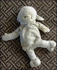 Israël: Un Rabbin veut obliger les enfants à amputer un membre de leurs poupées