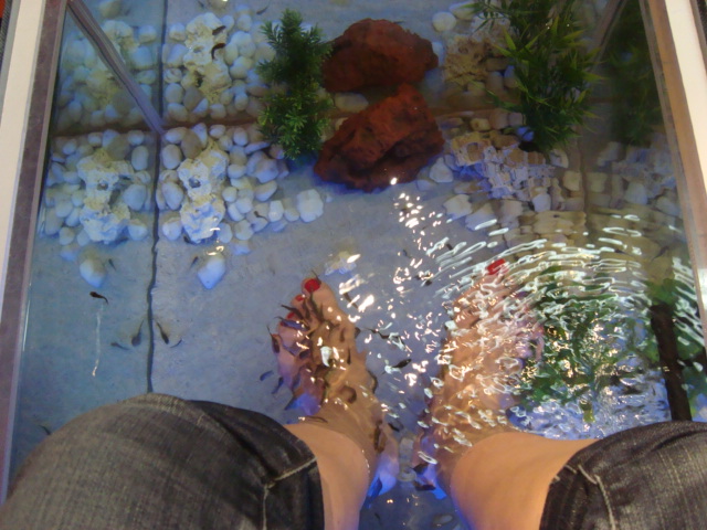 pedicurefish1.JPG