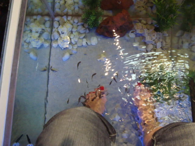 pedicurefish2.JPG