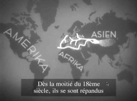 photo8.gif