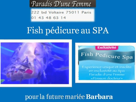 photofish.gif