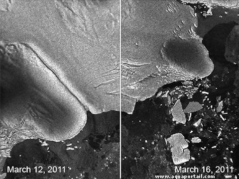 Sciences: Un tsunami issu d'un tremblement de terre de magnitude 9,0 au Japon donne naissance...