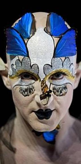 Steven Cohen ou lorsque la réalité provoque l'art