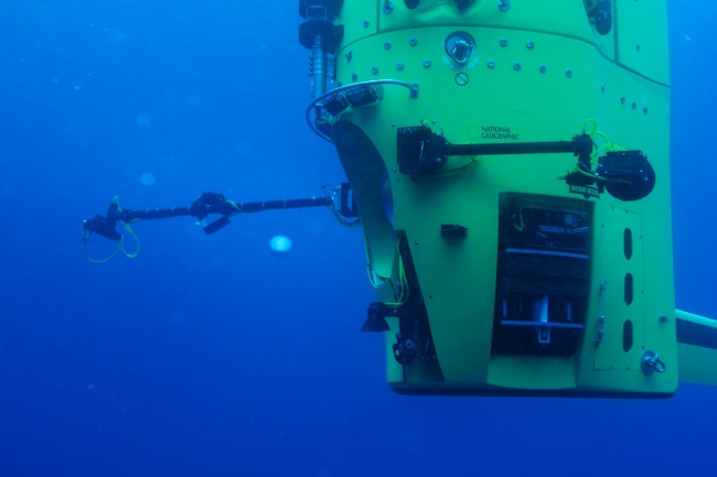 Une forme de vie découverte à 11km de profondeur