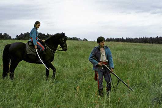 VOLEURS DE CHEVAUX