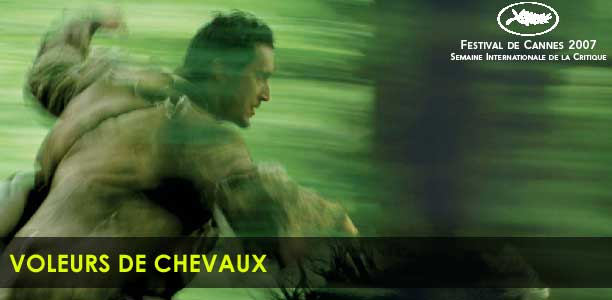 voleur_chevaux_haut1.jpg